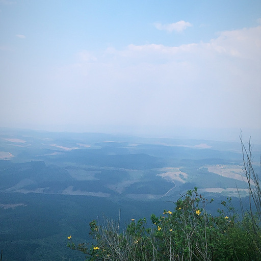 Profile picture of Aaliyah S