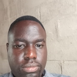 Profile picture of Busani N