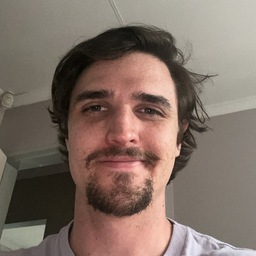 Profile picture of Lodewyk V