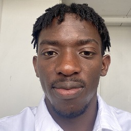 Profile picture of Tanaka T